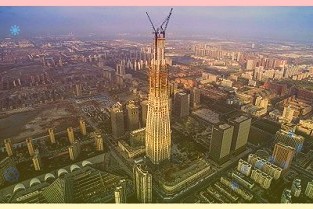 今年“双11”开局火爆“抖快猫狗”商家怎么选?