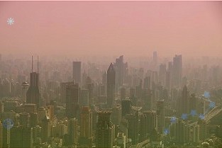 全国冬小麦播种过九成面积有望保持稳定