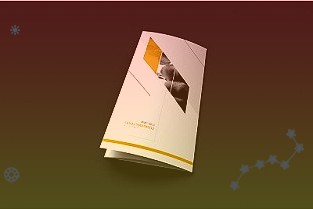 普冉股份688766公司点评:NORFLASH+EEPROM两翼齐飞20